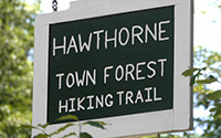 Hawthorne Town Forest