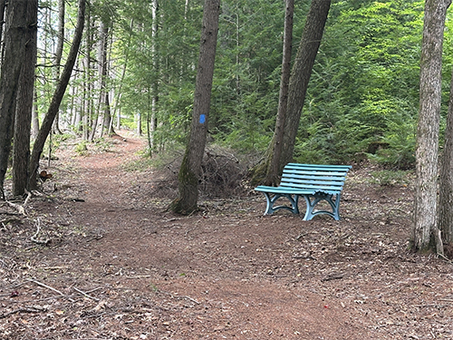 Karens Woods 11