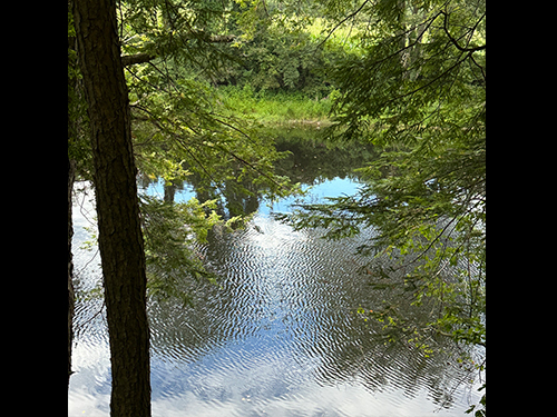 Tyler Landing River